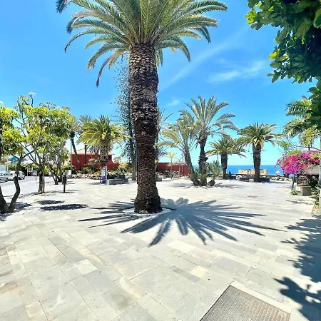 Studio With Direct View Of The Atlantic, Heated Pool, Wifi, 250 Meters To The Beach Apartment *